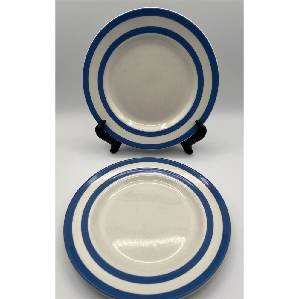 Vintage T.G. Green Cornishware 9" Plates Set of 2 Judith Onions 1960s Bullseye